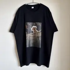Fugazi フガジ Tee Minor Thread マイナースレッド L - メルカリ