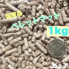 Item thumbnail for item f00dec3b-8a76-4938-88f5-ab74fdf3b1c5