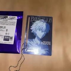 渚カヲル　フィルム エヴァンゲリオン 渚カヲル展 特典 クリアフィルム 2種セット