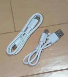 Item thumbnail for item a43febeb-d960-43fc-aaf5-9479f165bbaa