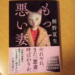 もっと悪い妻 桐野夏生 文春文庫