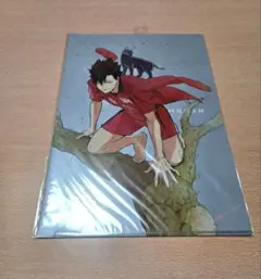 ハイキュー!! TO THE TOP クリアファイル 黒尾鉄朗