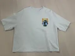 Item thumbnail for item 4d1a4f71-e8f3-4469-8f0f-33c22538dd8f