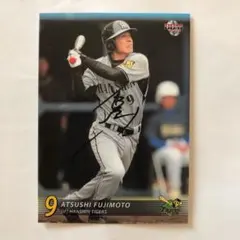 ひろやん様 リクエスト 2点 まとめ商品