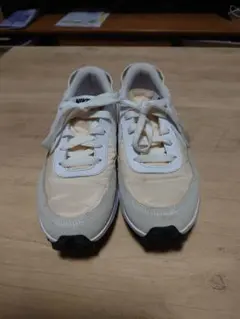 ナイキシューズ