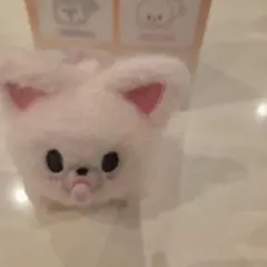 スキズ SKZOO SECRET シークレット フォクシニー RUN IT