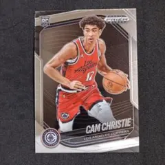 Item thumbnail for item 07f26285-54a8-423d-ac2c-4b629e3e1ca6