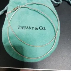 Tiffany & Co. ネックレス オメガチェーン　ヴィンテージ　1990代