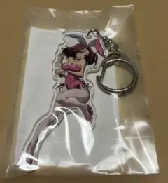 コードギアス 反逆のルルーシュ アクリルキーホルダー 紅月カレン コードギアス反逆のルルーシュアクリルキーホルダー紅月カレンバニー