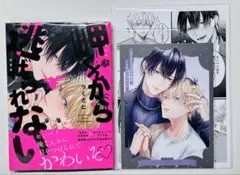 岬くんから逃げられない　コミコミリーフレット付