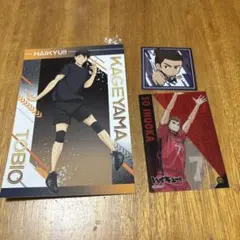 ハイキュー!! 影山飛雄 犬岡走 東峰旭 3点セット