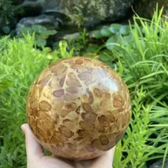 タ*坊様 木の温もり　まあるい球