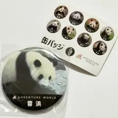 アドベンチャーワールド パンダ 缶バッジ 秋浜 - メルカリ