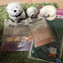 SPY×FAMILY ボンド　グッズセット