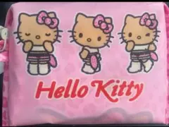 ✩°。⋆専用 5月1日取り置き ハローキティ日焼けキティ　ヒョウ柄　エコバック