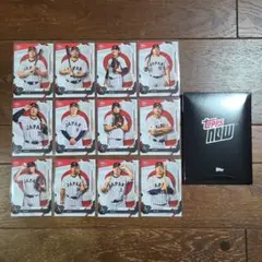 【本日限定】【WBC 2009】【日本代表6名】クリアファイル【未使用】 早いもの勝ち】【WBC 2009】【日本代表6名】クリアファイル【未使用
