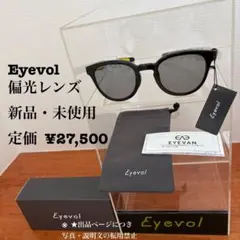 BRIEFING Eyevol SCHILLER コラボ サングラス ケース付き - メルカリ