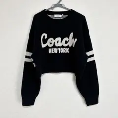 Item thumbnail for item 80c27164-85d5-4f78-ac4b-da9138d12a5d