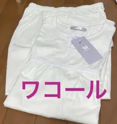 Item thumbnail for item e0370396-1fae-49fb-b721-e4d5b596abae