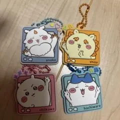 ちいかわ　ぷっくりラバマスグミ4 あのこ　シーサー　ちいかわ　ハチワレ