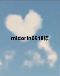 midorin0918様 リクエスト 4点 まとめ商品