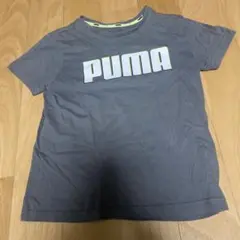 PUMA プーマ Tシャツ 半袖 120 ブラック