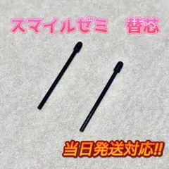 スマイルゼミ 替え芯 2本セット ブラック