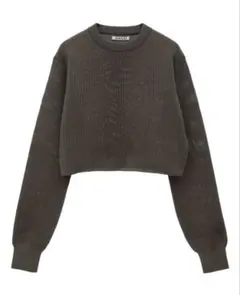 25SS AURALEE / FLAT YARN RIB KNIT SHORTのサムネイル
