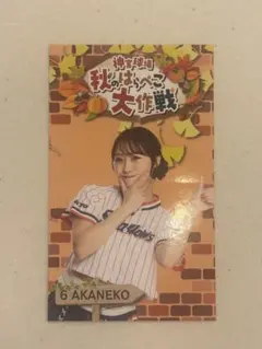 【非売品】ヤクルトスワローズ秋のはらぺこ大作戦 AKANEKO