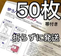 【50枚】折り曲げ無し ゆうパケットポストmini専用封筒 24時間以内発送