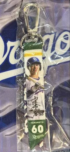 中日ドラゴンズ　山本泰寛選手　選手フォト　選手カラー　ミニボンフィン