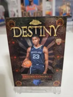 Item thumbnail for item 40d9ebbd-bb32-4a63-9345-49ebd2a3dce2