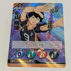 ハイキュー!! バボカ カード 02-003 影山飛雄