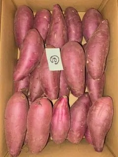 千葉県産紅はるかM 5㎏　10