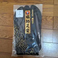 Item thumbnail for item d1d23466-c85d-45a6-9681-7fd69f023251