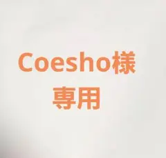 ペイズリー柄 チェック柄 スカーフ 2点セット