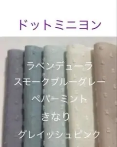 2026年最新】ドットミニヨン 生地の人気アイテム - メルカリ