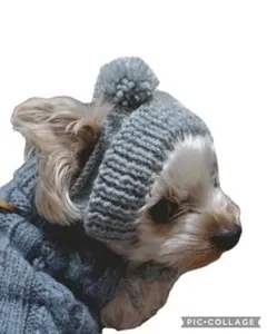 Item thumbnail for item ee7f6840-2b7c-4b76-bf09-8f4938e2f53c