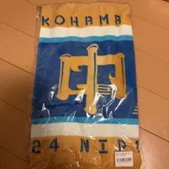 横浜DeNAベイスターズ 選手シルエット刺繍ハンドタオル #53中川颯