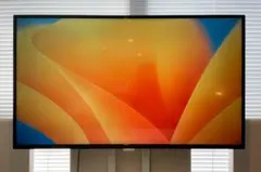 43インチ 4K IPS 液晶モニター フィリップス BDM4350UC/11