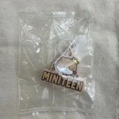 SEVENTEENセブチ MINITEEN めじるしアクセサリー ディノ