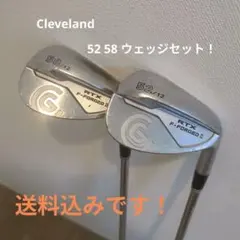キャスコ DNA ST 53/58 ウェッジ 2本 純正カーボン S キャスコ DNA ST 53/58 ウェッジ 2本 純正カーボン S - メルカリ