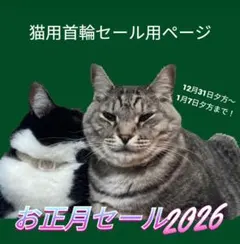 Item thumbnail for item 8f3bbbef-4f3c-43a7-9abd-4523db3d9f02