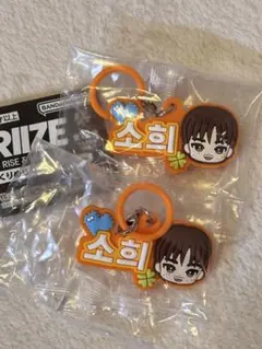 RIIZE ぷっくりめじるしアクセサリー　ソヒ　2個セット