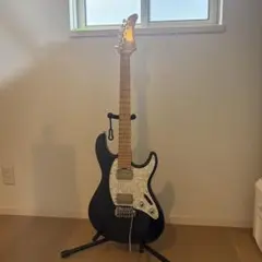 Fernandes FST-80改 - メルカリ