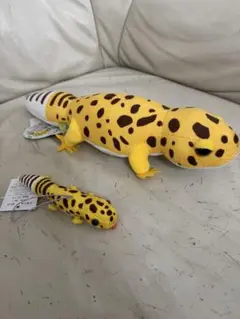 レオパノキイチャン