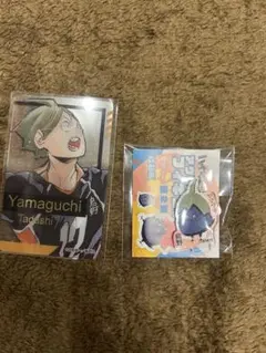 ハイキュー ファンパーク 山口忠