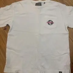 Item thumbnail for item b1b1de28-1dbf-4749-aa22-d6001b3898c1