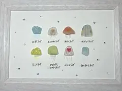 シーグラスアート クラゲ図鑑 貝殻アート シーグラス　seaglass art