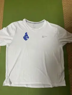 Item thumbnail for item 474e3a93-cd39-4a44-9668-a93c0885f81b